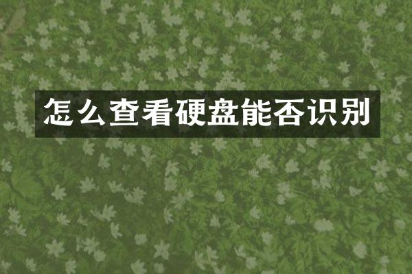 怎么查看硬盘能否识别