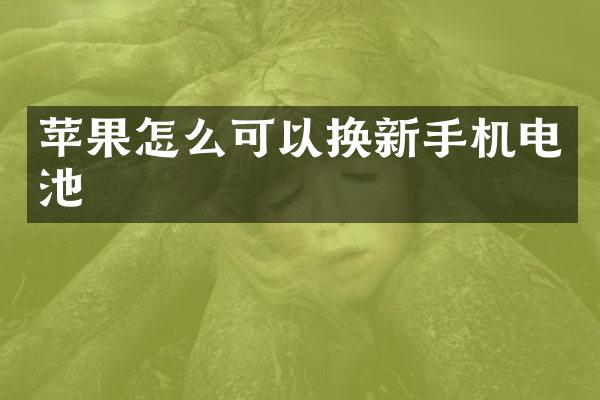 苹果怎么可以换新手机电池