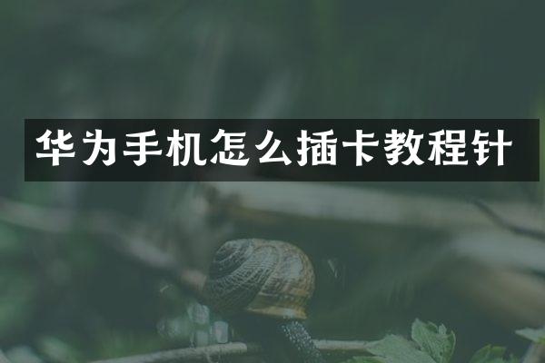 华为手机怎么插卡教程针