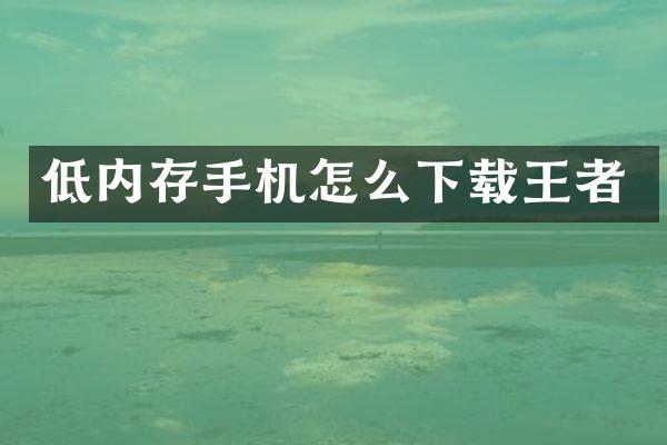 低内存手机怎么下载王者