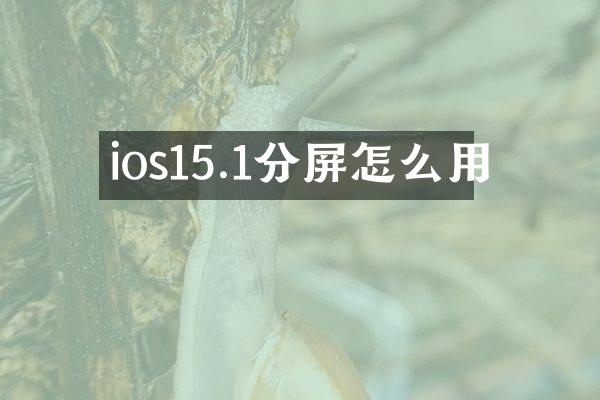 ios15.1分屏怎么用
