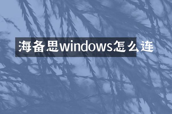 海备思windows怎么连