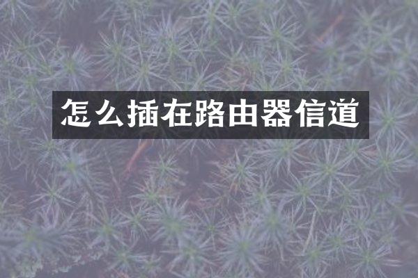 怎么插在路由器信道