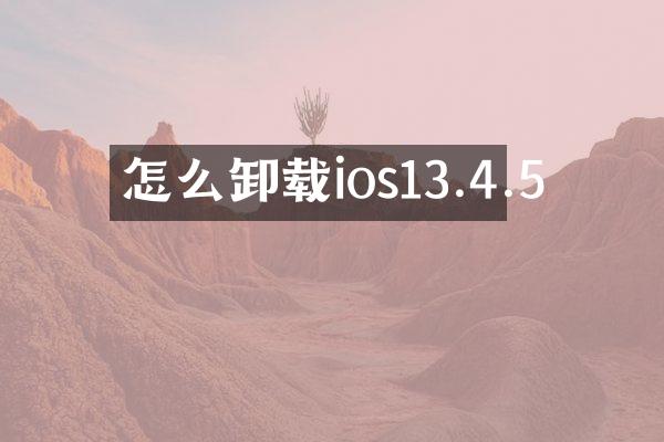 怎么卸载ios13.4.5