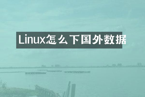 Linux怎么下国外数据