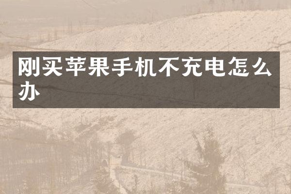 刚买苹果手机不充电怎么办