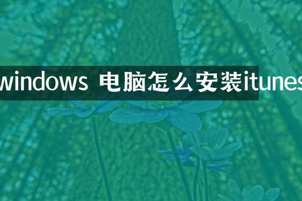 windows 电脑怎么安装itunes
