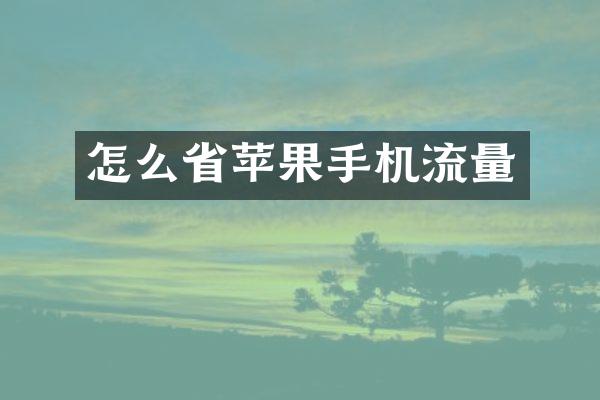 怎么省苹果手机流量