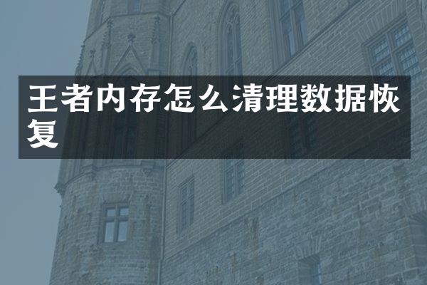 王者内存怎么清理数据恢复