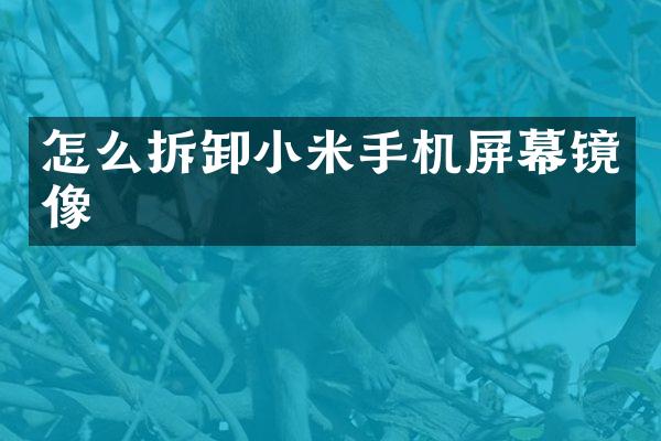 怎么拆卸小米手机屏幕镜像