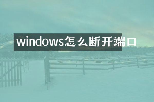 windows怎么断开端口