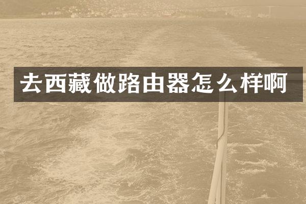 去西藏做路由器怎么样啊