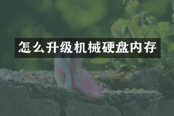 怎么升级机械硬盘内存