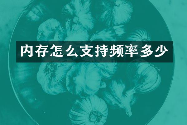 内存怎么支持频率多少