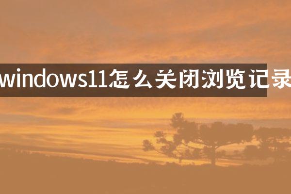 windows11怎么关闭浏览记录