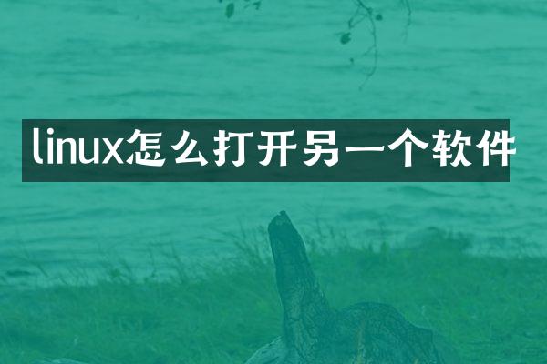 linux怎么打开另一个软件