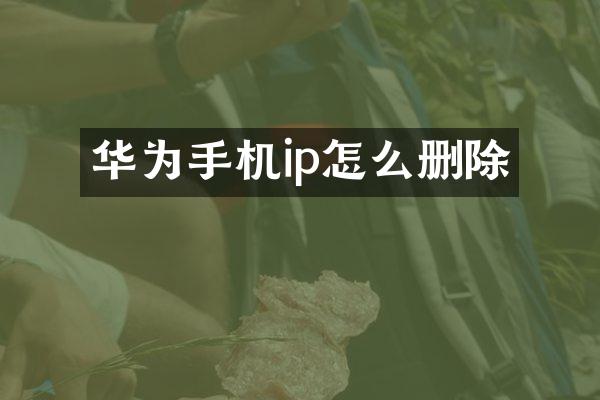 华为手机ip怎么删除