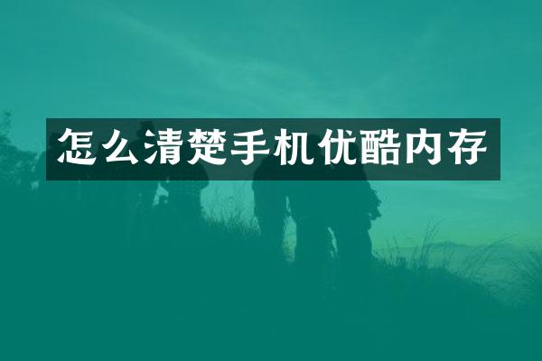 怎么清楚手机优酷内存