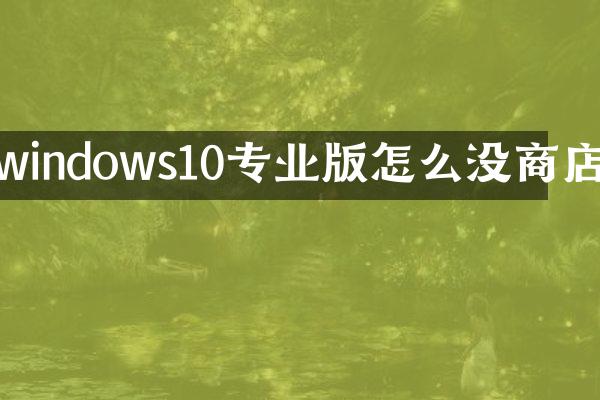 windows10专业版怎么没商店