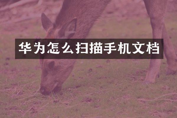 华为怎么扫描手机文档