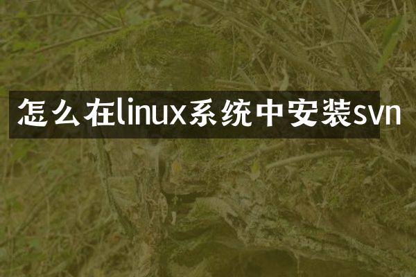 怎么在linux系统中安装svn