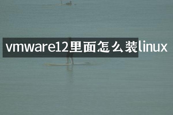 vmware12里面怎么装linux