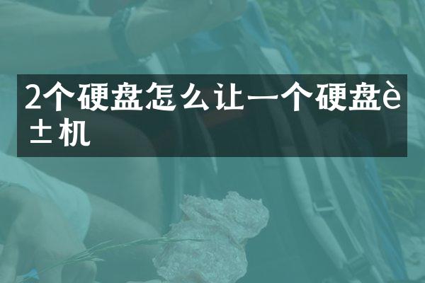 2个硬盘怎么让一个硬盘脱机