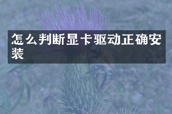 怎么判断显卡驱动正确安装