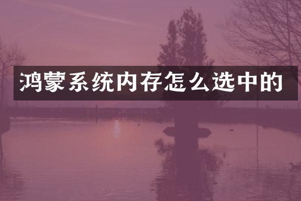 鸿蒙系统内存怎么选中的