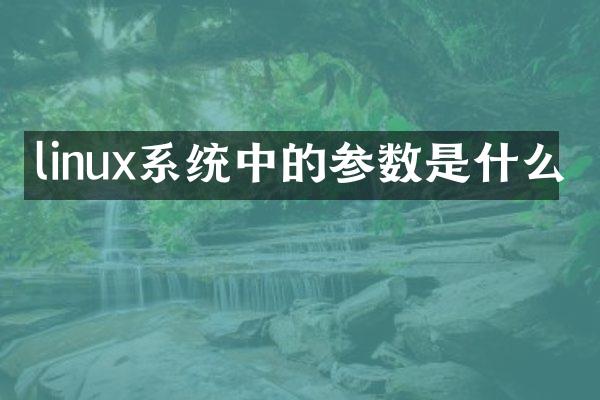 linux系统中的参数是什么