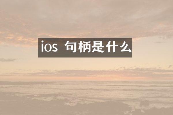 ios 句柄是什么