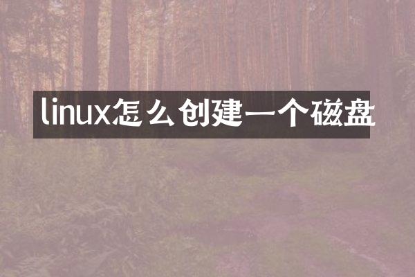 linux怎么创建一个磁盘