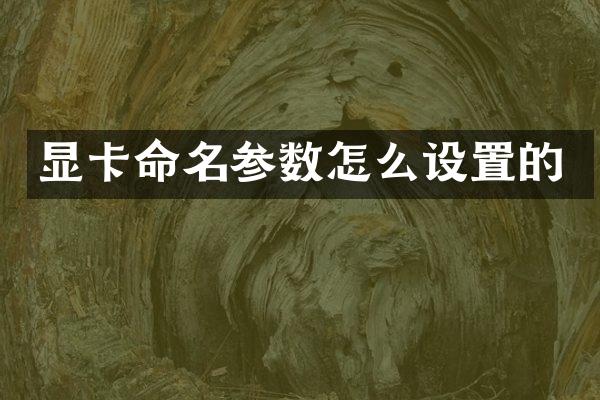 显卡命名参数怎么设置的