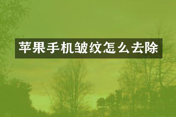 苹果手机皱纹怎么去除