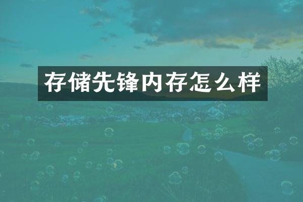 存储先锋内存怎么样