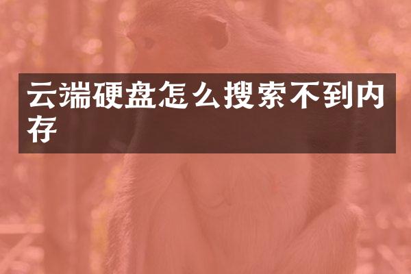 云端硬盘怎么搜索不到内存