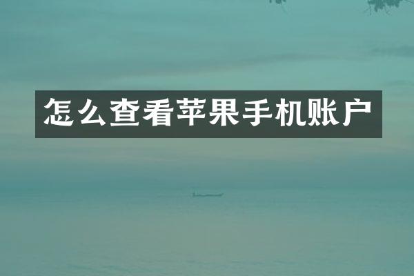 怎么查看苹果手机账户