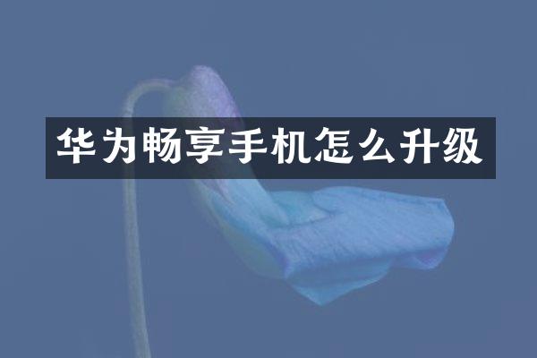 华为畅享手机怎么升级