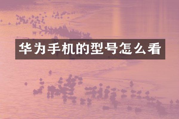华为手机的型号怎么看