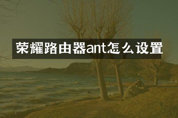 荣耀路由器ant怎么设置