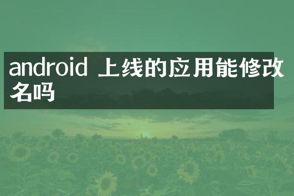 android 上线的应用能修改包名吗