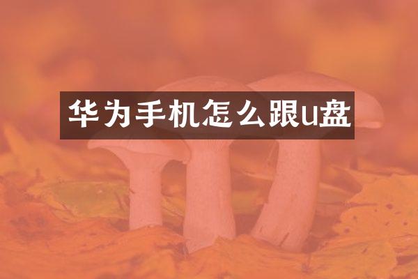 华为手机怎么跟u盘