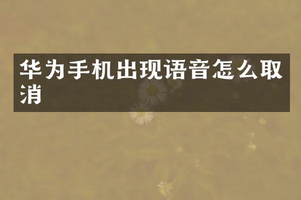 华为手机出现语音怎么取消