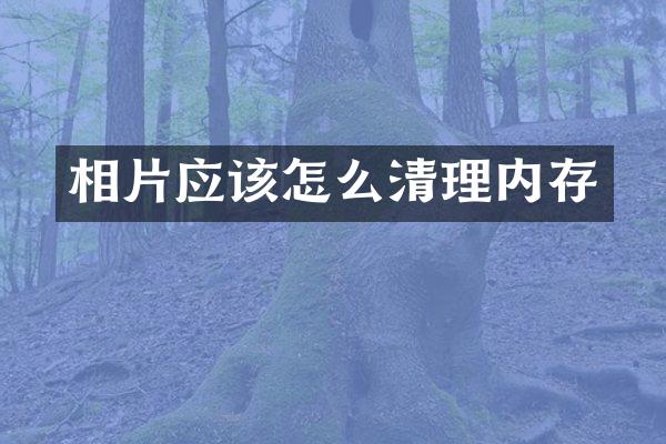 相片应该怎么清理内存