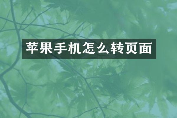 苹果手机怎么转页面