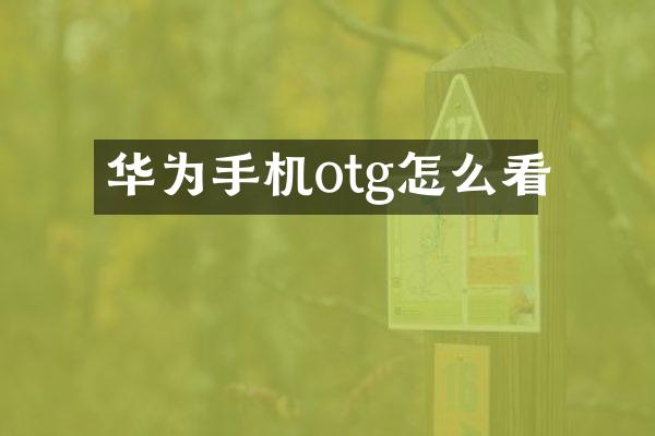 华为手机otg怎么看