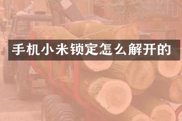 手机小米锁定怎么解开的