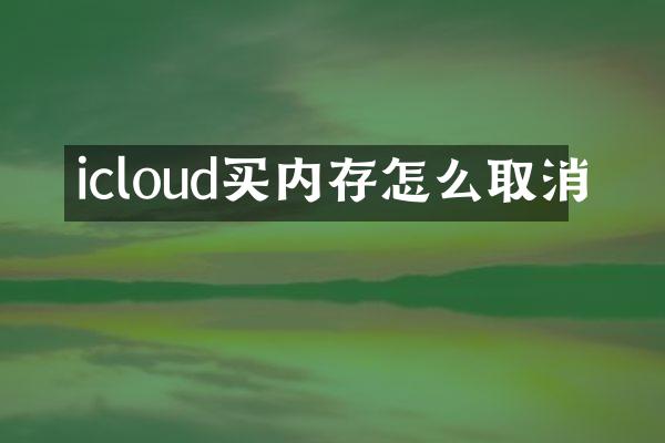 icloud买内存怎么取消