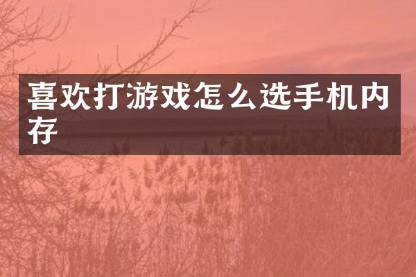 喜欢打游戏怎么选手机内存