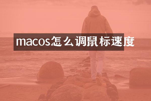 macos怎么调鼠标速度